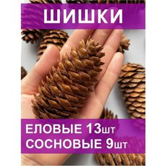 Набор шишек для декора и поделок сосновые и еловые, высушенные Нет бренда