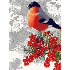 Картина по номерам Снегирь 40х50 см АртТойс
