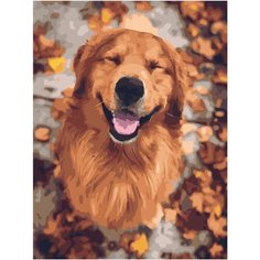 Картина по номерам Золотистый Ретривер 40х50 см АртТойс