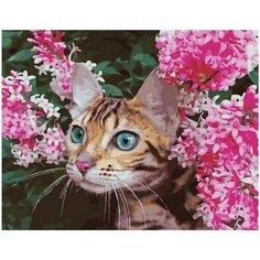 Картина по номерам Котенок в цветочках 40х50 см АртТойс