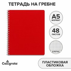 Тетрадь на гребне A5 48л кл Красная пласт обл, офсет Россия