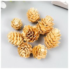 Декор для творчества "Шишка сосновая молочная" размер 2-4 см Noname