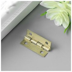 Петля для шкатулки с прямыми углами 1х2,5 см В-039./В упаковке шт: 30 Арт Узор