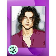 Картина по номерам на холсте Тимоти Шаламе 2, 40 х 60 см КУЛЬТУРА ЦВЕТА