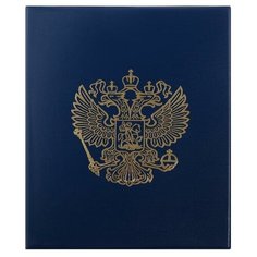 Calligrata Альбом для монет на кольцах, формат Оптима 230 х 265 мм Calligrata "Герб", входит до 20 листов, обложка ПВХ, микс