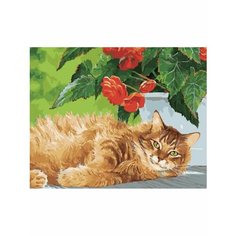 Картина по номерам Мой любимый рыжик 40х50 см АртТойс