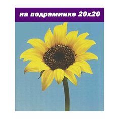 Стиль для Дома Алмазная мозаика на подрамнике 20х20 частичная выкладка