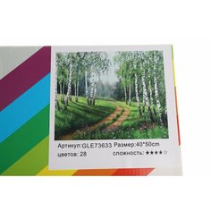 Алмазная мозаика 40Х50 Лесная дорога КНР