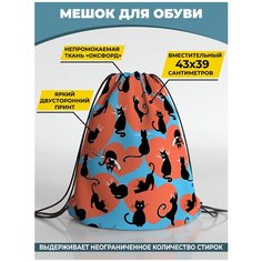 Мешок для сменной обуви Homepick 38х42 см CatsHeart/1237/