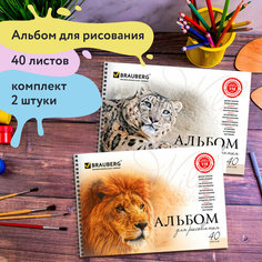 Альбом д/рис. А4 40л, комплект 2шт, гребень, обл картон, BRAUBERG, 205х290мм, Хищники (2вида),880028