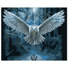 Картина по номерам "Сова Букля", Fantasy Earth 40x50см / Гарри Поттер