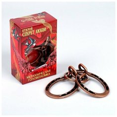 Головоломка металлическая "Открой секрет любви" оковы Puzzle