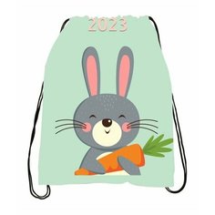 Мешок для обуви год Кролика №3 Anima Shop
