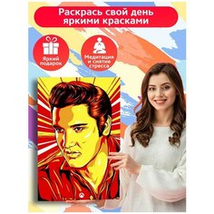 Картина по номерам Элвис Пресли - 6279 В 60x40