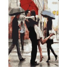 Картина по номерам Долгожданная встреча 40х50 см Hobby Home