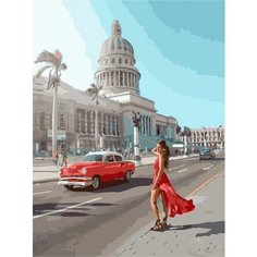 Картина по номерам Под жаркими лучами 40х50 см Hobby Home