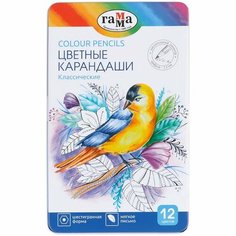 Карандаши цветные Гамма Классические 12 цветов увелич. диаметр грифеля 3,3мм, заточен, метал. пенал Opt Baza