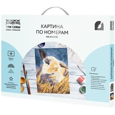 Картина по номерам на холсте ТРИ совы "Кролик" 30*40 с акриловыми красками и кистями 1 шт нет бренда