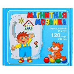 Мозаика магнитная, 120 элементов Десятое королевство