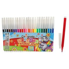 Фломастеры, 24 цвета, невентилируемый колпачок./В упаковке шт: 1 Calligrata
