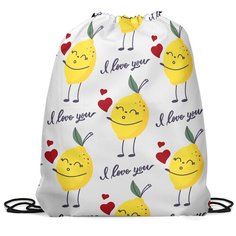 Сумка мешок-рюкзак для обуви 42х35 см, Gorolla