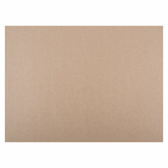 Невская Палитра Картон, 2000г/м2, 30х40см 1л