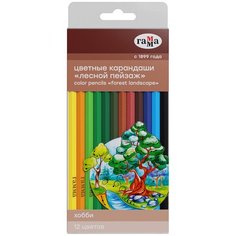 Цветные карандаши для школы 12 цветов, шестигранные / Набор цветных карандашей для рисования школьный Гамма "Хобби. Лесной пейзаж" Gamma