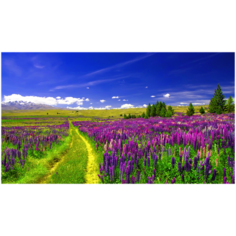 Алмазная мозаика "Поле цветов" Алмазная вышивка/картина стразами на холсте 30х40 Нет бренда