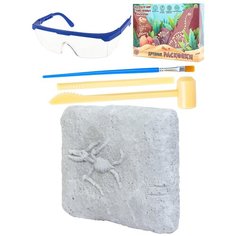 Набор археолога "Птерозавр"(камень,4 инструмента, книжка, очки, маска, в коробке) (Арт. И-5865) Рыжий кот
