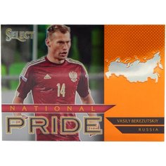 Коллекционная карточка Panini Select National Pride 2015-16 Orange #34 Василий Березуцкий S0042