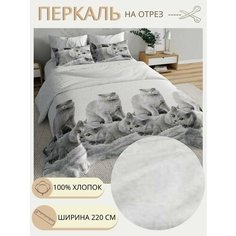 Ткань для шитья постельного белья / Рукоделия / Перкаль 220 Британцы / 100% хлопок / На отрез от 1 метра Нет бренда