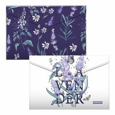 Папка-конверт на кнопке Erich Krause Lavender (А4, 160мкм, пластик) непрозрачный, набор 4шт.