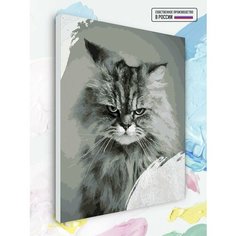 Картина по номерам на холсте Кот злой, 40 х 50 см