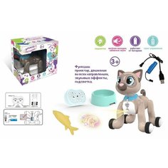 Кошка коричневая на РУ (свет, звук, проектор) в коробке Китай