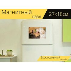 Магнитный пазл "Масло кбр, собака, домашний питомец" на холодильник 27 x 18 см. Lots Prints
