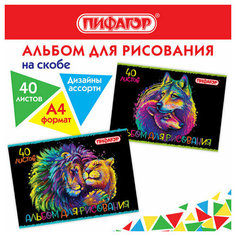 Альбом для рисования А4 40 л, скоба, обложка офсет, пифагор, 203х288 мм, "Нежность" (2 вида), 106700 - 8 шт.