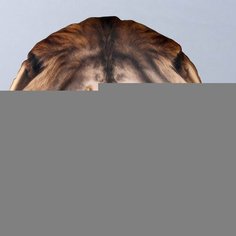 Антистресс подушка «Лев» (комплект из 2 шт) mni mnu