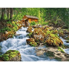Картина по номерам Водяная мельница 40х50 см Hobby Home