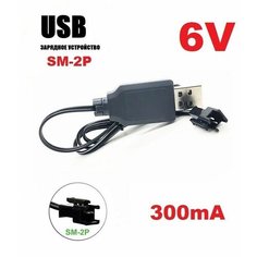 Зарядное устройство USB 6V аккумуляторов 6 Вольт разъем SM-2P СМ-2Р YP зарядка на машинку-перевертыш Match Two Sided Car, ZHENGGUANG, Twisted Good Shop