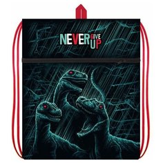 Мешок для сменной обуви Оникс МО 27-4р Три динозавра