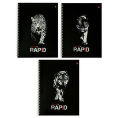 Тетрадь А4 96л кл на гребне RAPID, гл лам, 3В микс 7-96-1122./В упаковке шт: 1 Альт