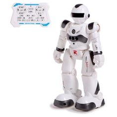 Робот-игрушка радиоуправляемый IQ BOT GRAVITONE, русское озвучивание, цвет серый