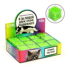 Головоломка-лабиринт «За любой движ» Puzzle