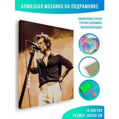 Алмазная мозаика на подрамнике - вышивка Гарри Стайлз Harry Styles 40 х 50 см Красиво Красим