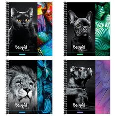 Тетрадь 80л, А5, клетка на гребне ArtSpace "Животные. Bright&black", глянцевый УФ-лак - 12 шт.