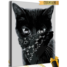 Картина по номерам кот бандит