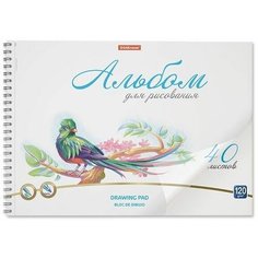 Альбом для рисования А4, Birds4 Случай