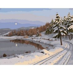 Картина по номерам Лунная дорожка 40х50 см АртТойс