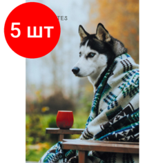 Комплект 5 штук, Бизнес-тетрадь 100л, кл, А5, Осенний друг, КЗ51003499 Канц Эксмо