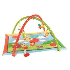 Развивающий коврик Жирафики Пчёлка Бизи и мёд 939351